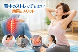 背中のストレッチ|ガチガチの背中をほぐす効果的な方法と毎日の習慣 - 整体ライフ