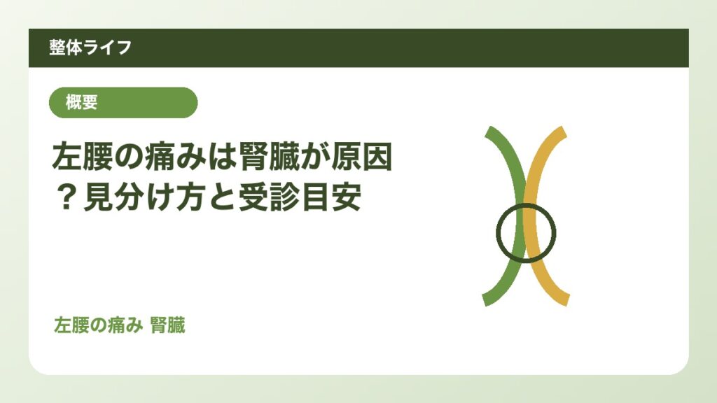 左腰の痛みは腎臓が原因？見分け方と受診目安