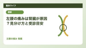 左腰の痛みは腎臓が原因？見分け方と受診目安