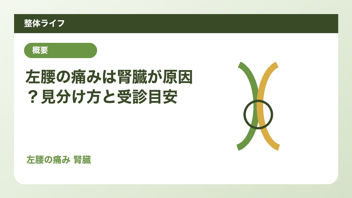 左腰の痛みは腎臓が原因？見分け方と受診目安