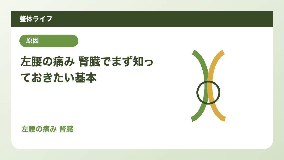左腰の痛み 腎臓でまず知っておきたい基本