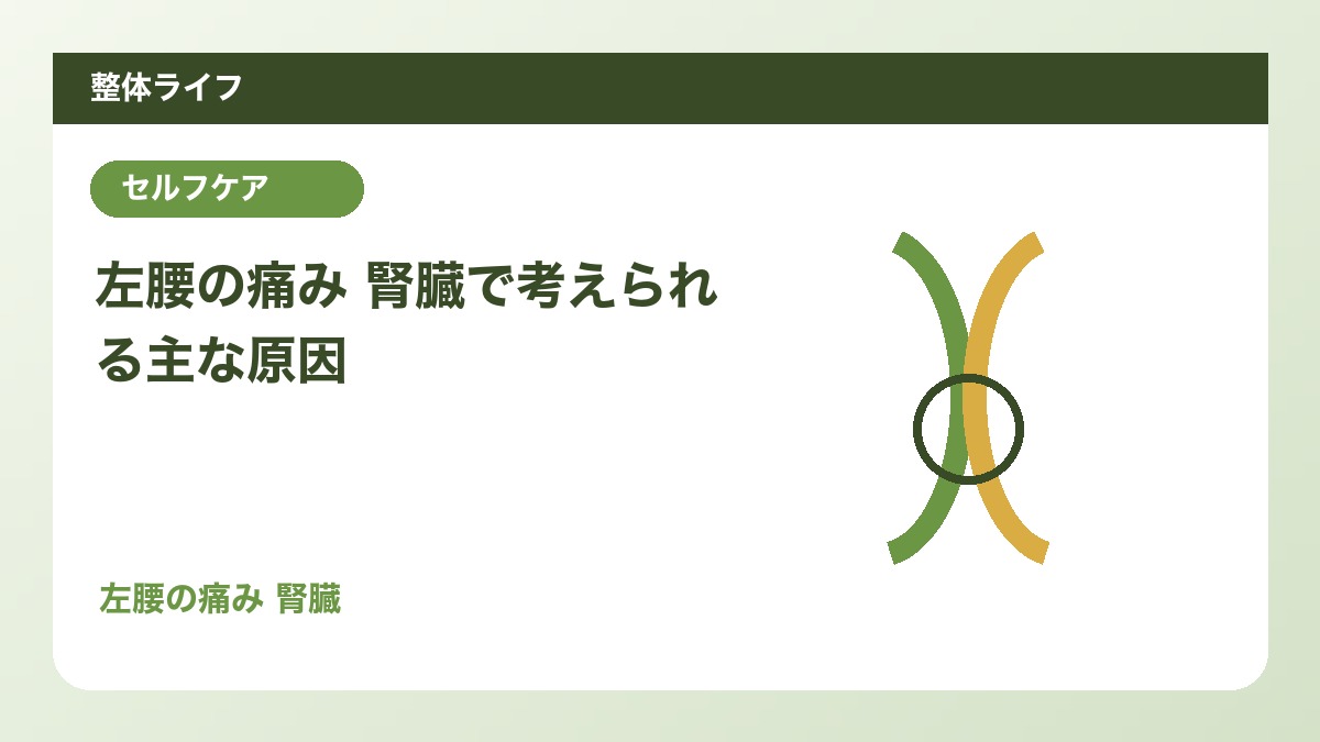 左腰の痛み 腎臓で考えられる主な原因