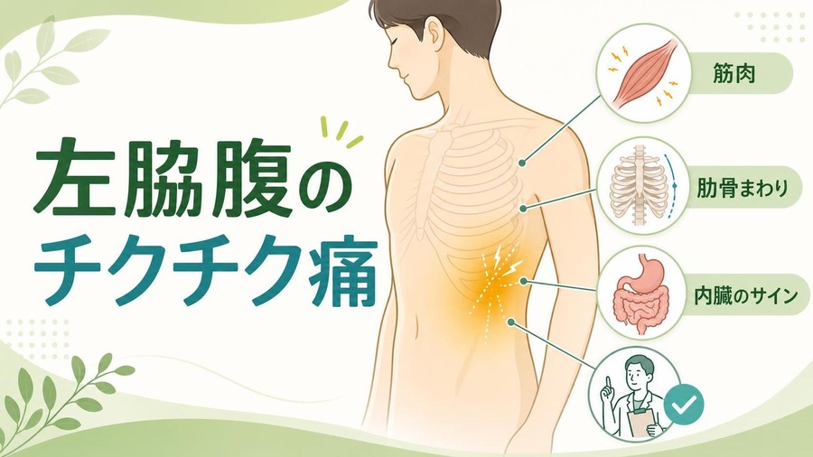 左脇腹 痛み チクチク たまに 左脇腹 痛み チクチク たまにで考えられる主な原因