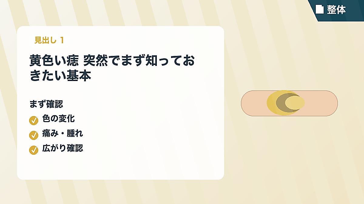 黄色い痣 突然でまず知っておきたい基本