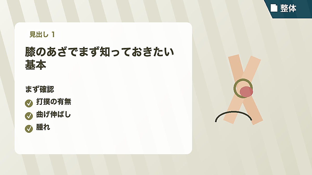 膝のあざでまず知っておきたい基本