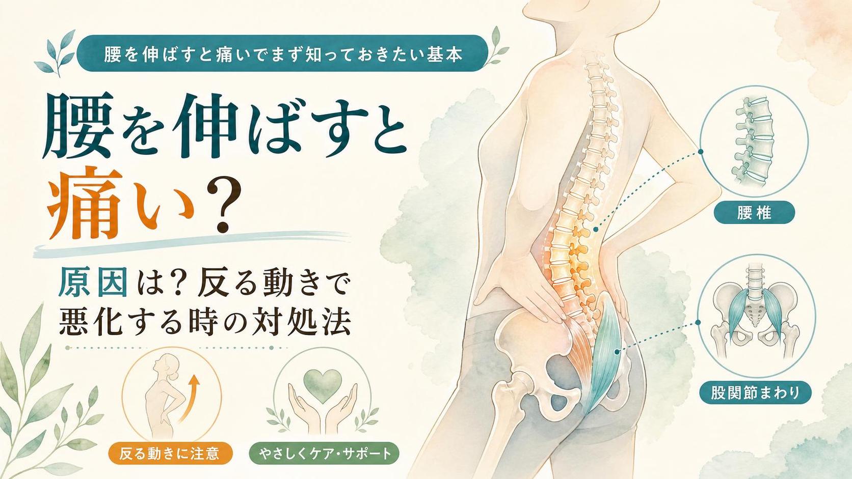 腰を伸ばすと痛いでまず知っておきたい基本