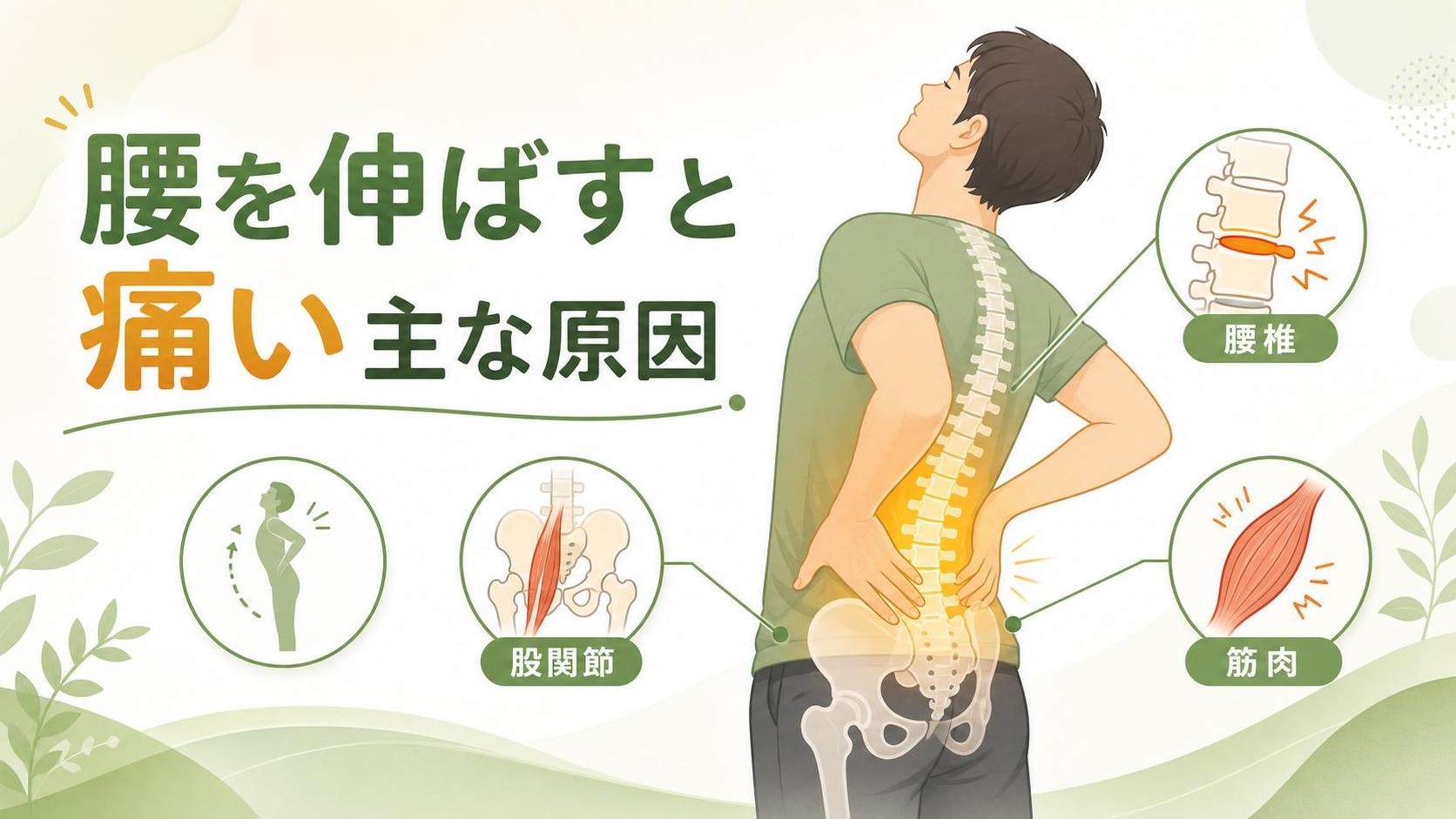 腰を伸ばすと痛いで考えられる主な原因