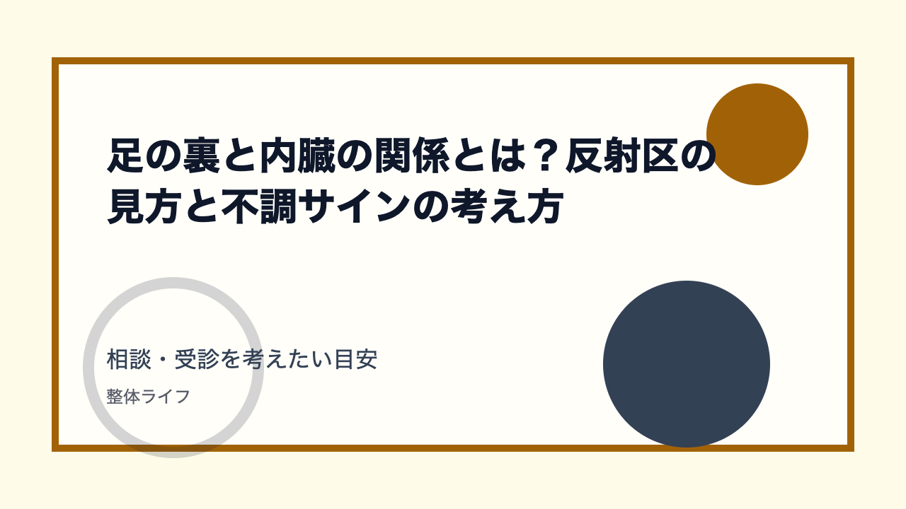 足の裏と内臓の関係とは?反射区の見方と不調サインの考え方 相談・受診を考えたい目安