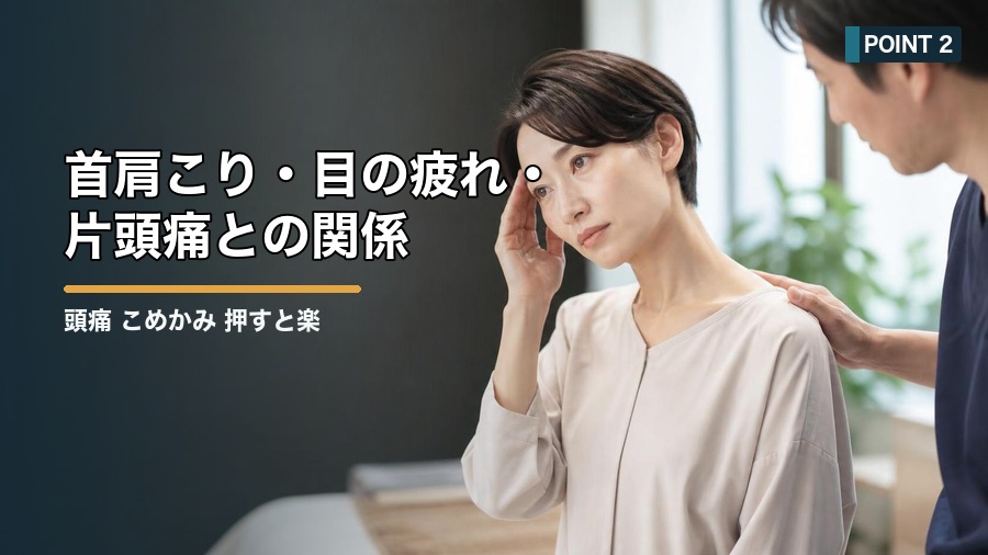 頭痛 こめかみ 押すと楽なのはなぜ?原因と安全な対処法を解説 見出し画像2
