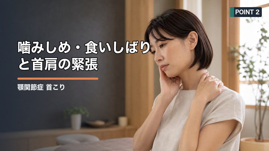 顎関節症 首こりの関係とは？噛みしめと姿勢から整える方法 見出し画像2