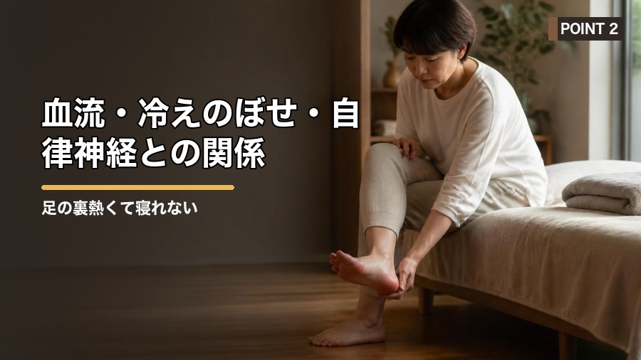 足の裏熱くて寝れない原因は?自律神経と血流から考える対策 見出し画像2