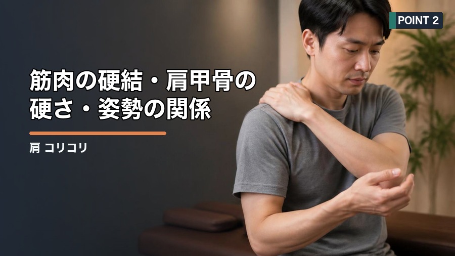 肩 コリコリする原因は？筋肉の硬さと姿勢から見直す方法 見出し画像2