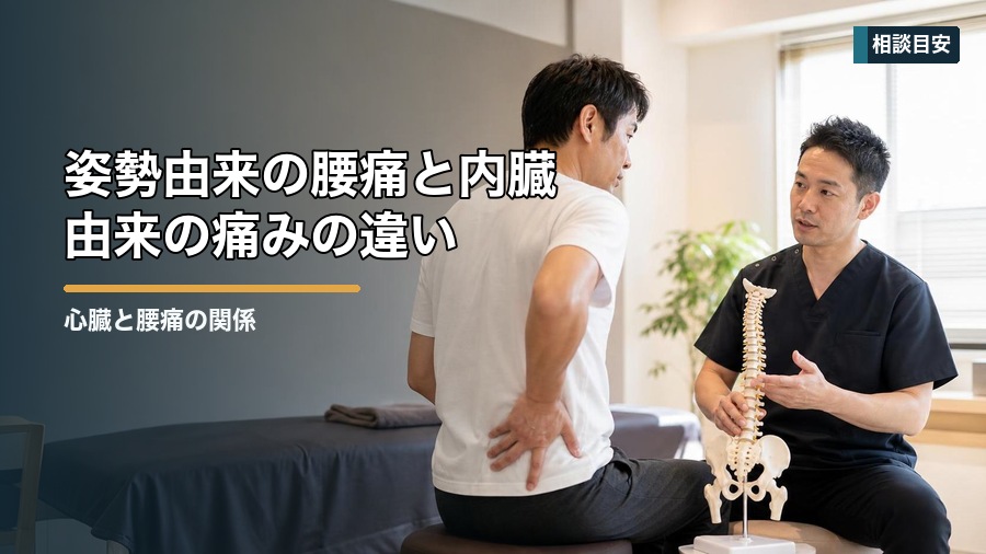 心臓と腰痛の関係はある？内臓サインと注意点を解説 見出し画像2