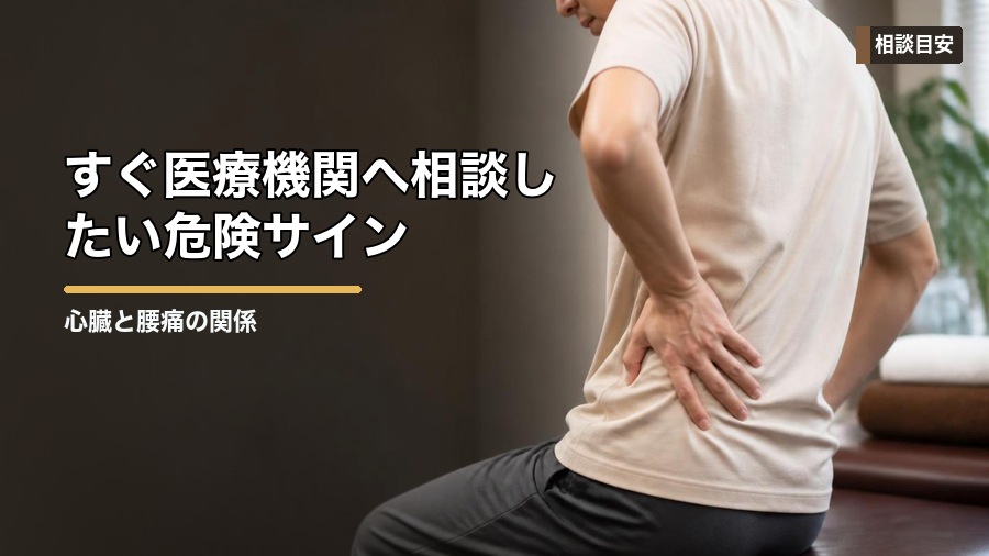 心臓と腰痛の関係はある？内臓サインと注意点を解説 見出し画像5
