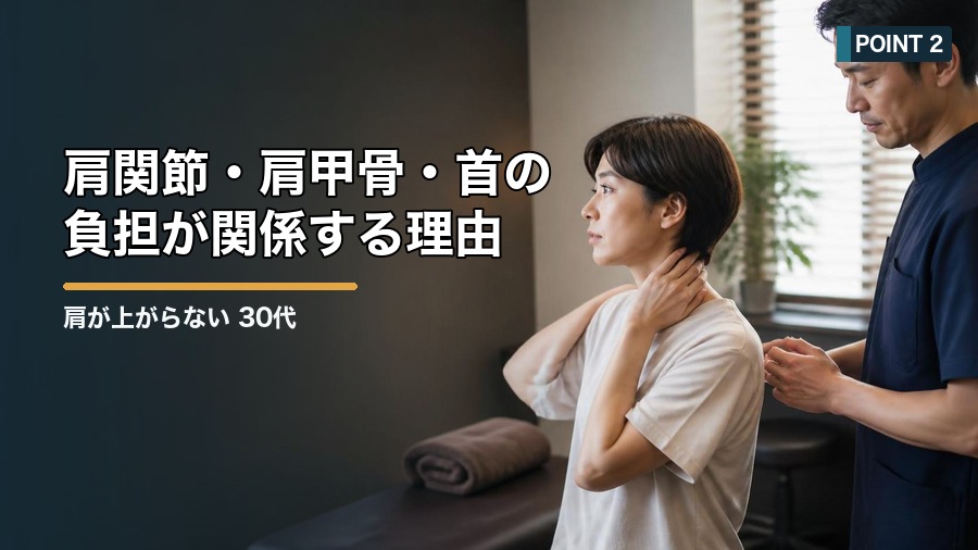 肩が上がらない 30代で考えたい原因｜四十肩以外の可能性も解説 見出し画像2